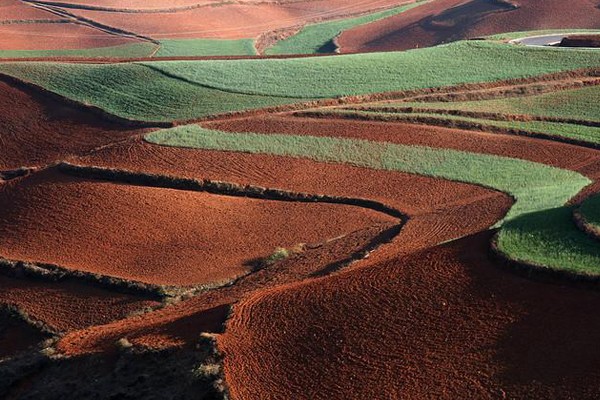 Sembrados en rojo - Dongchuan, China