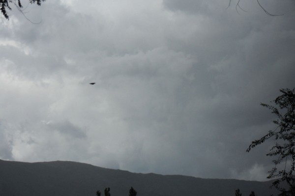 Un objeto volando en el cielo gris