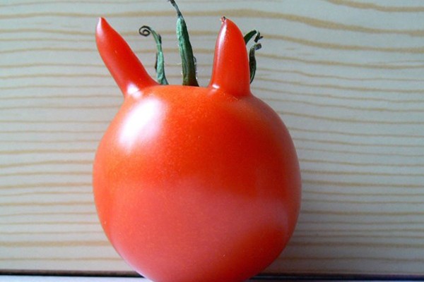 Un tomate con cuernos