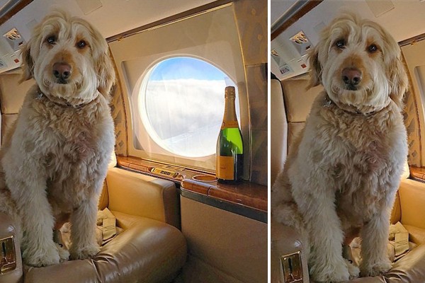 Un viaje en el avión privado