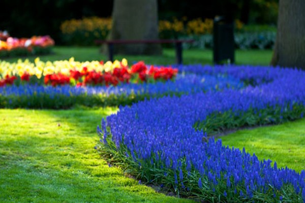 Jardín de camino azul - Países Bajos