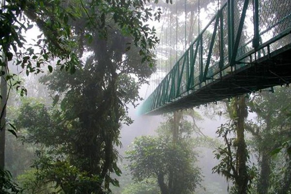 Bosque Nuboso en Costa Rica