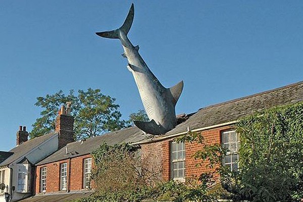 El tiburón del techo