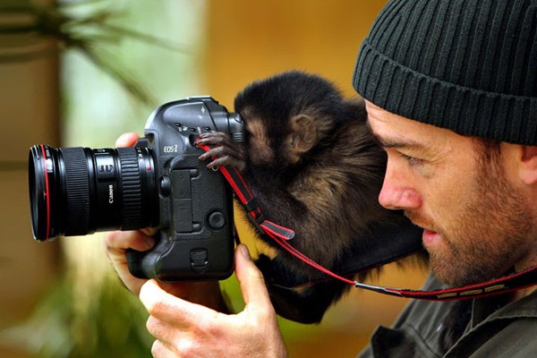 Este monito tomando una foto