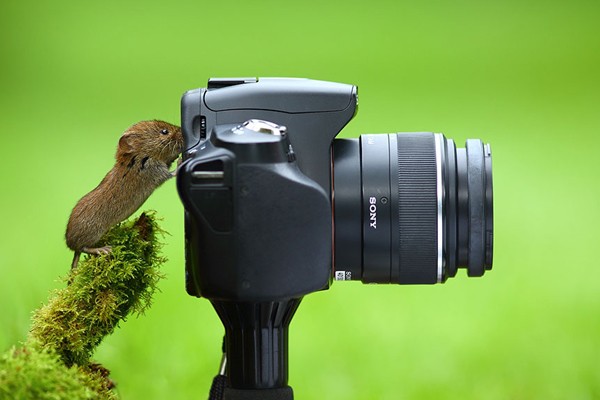 Este pequeño fotógrafo