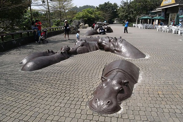 Hipopótamos en el pavimento