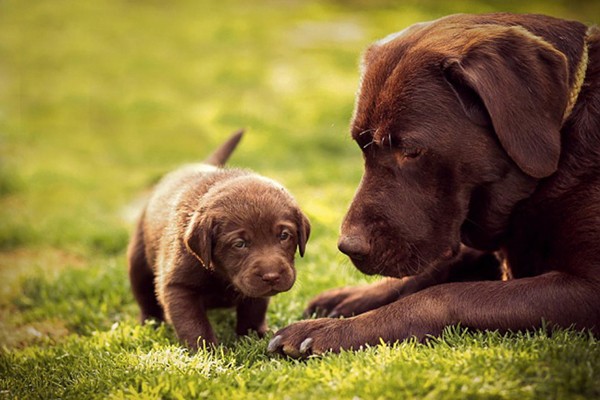 Mamá cuidando a su pequeño bebé