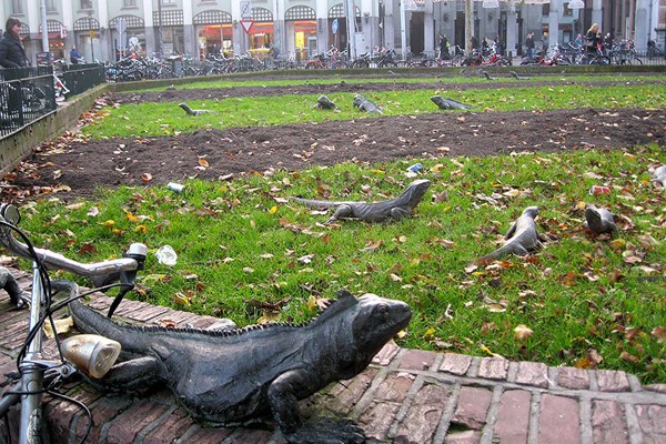 Parque con iguanas