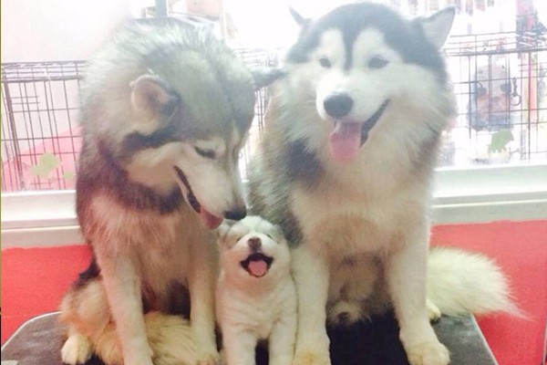 Una familia feliz