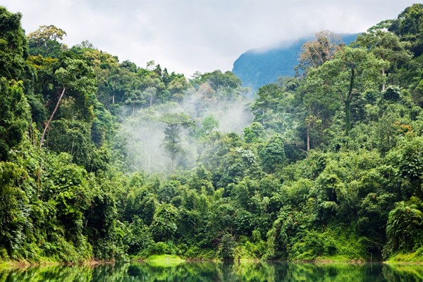 La selva amazónica