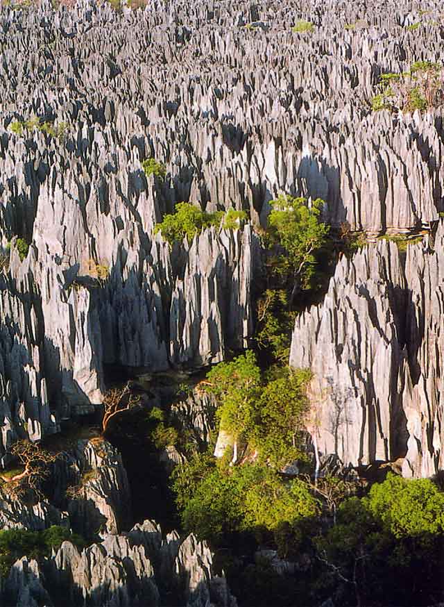 6. Reserva natural integral de Tsingy de Bemaraha, Madagascar