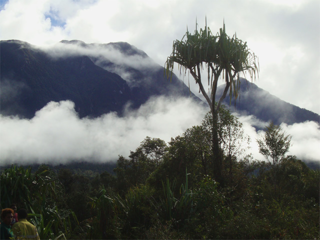 8. Montañas de la Estrella, Papúa Nueva Guinea