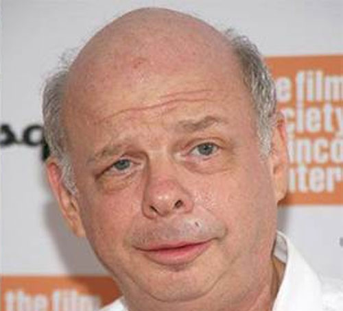 11. Wallace Shawn (actor)