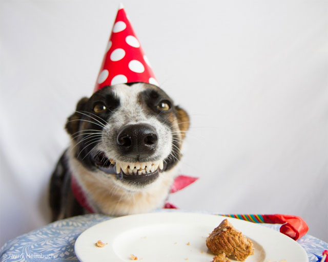 ¡Celebremos el cumpleaños de nuestros amigos!