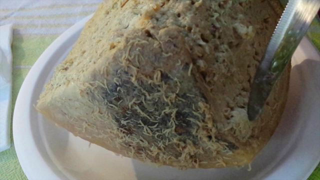 9. Queso Casu Marzu