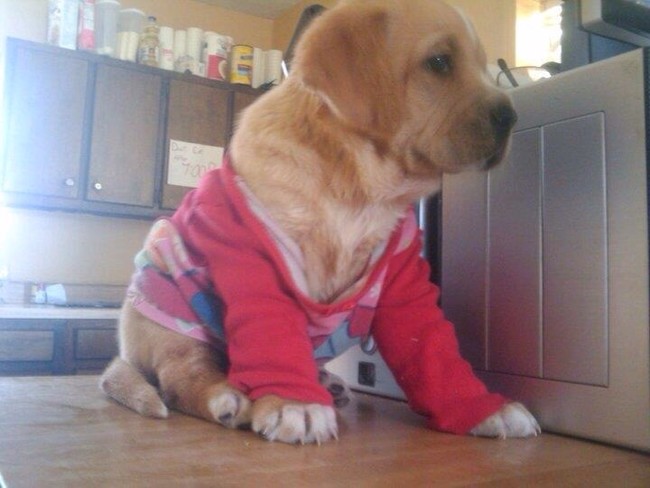 2. Alguien tiene que llevar a este pequeño a la cama