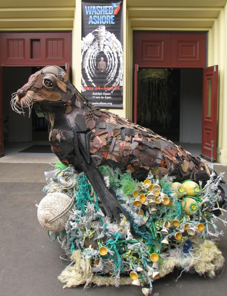 La foca ayuda al ambiente