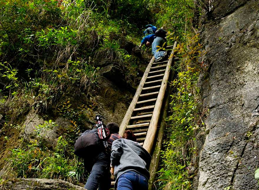 Los niños mueren de miedo mientras suben