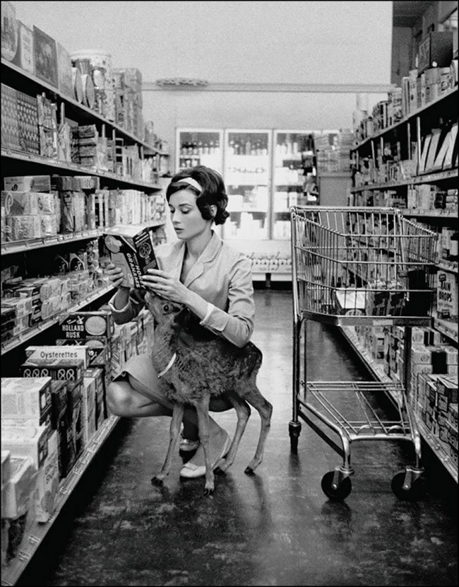 Audrey Hepburn de compras con su mascota