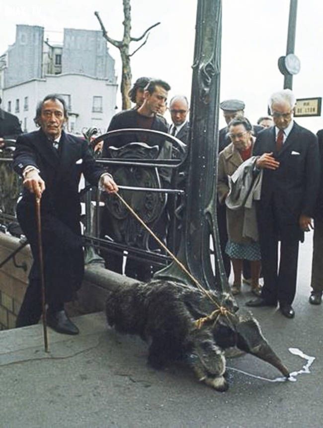 Salvador Dali paseando a su mascota