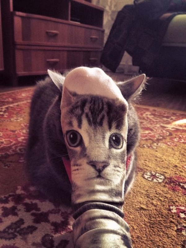 Calcetín de gato