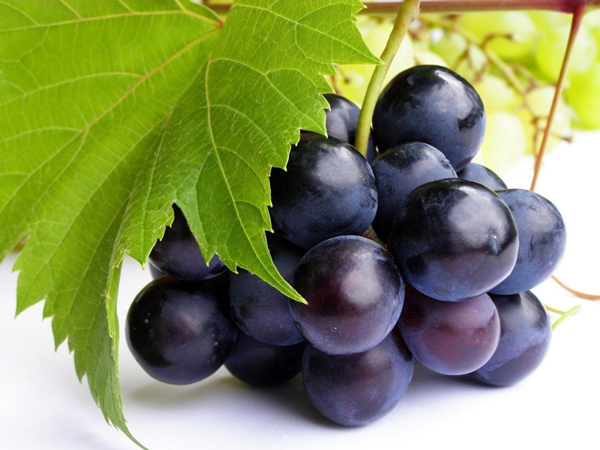 Remedios con semilla de uva