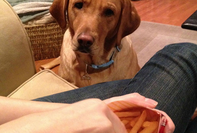 Nunca más tendrás que comer solo