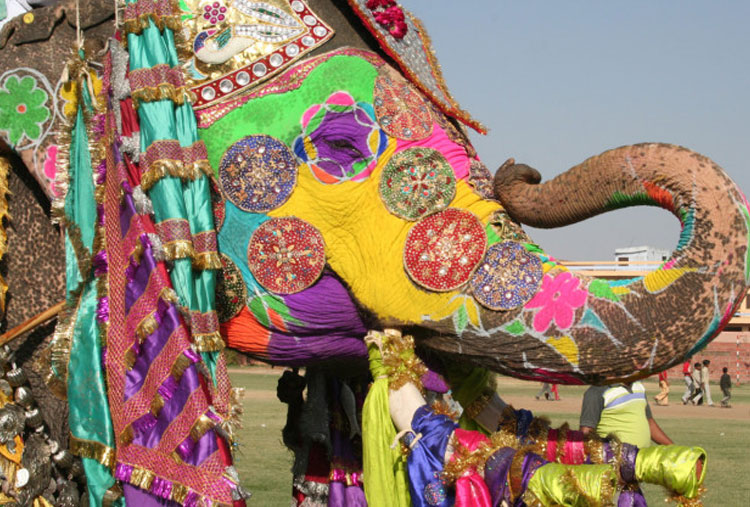 Festival del elefante