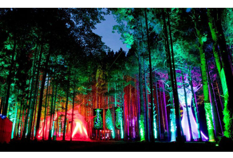 Festival del bosque electrónico