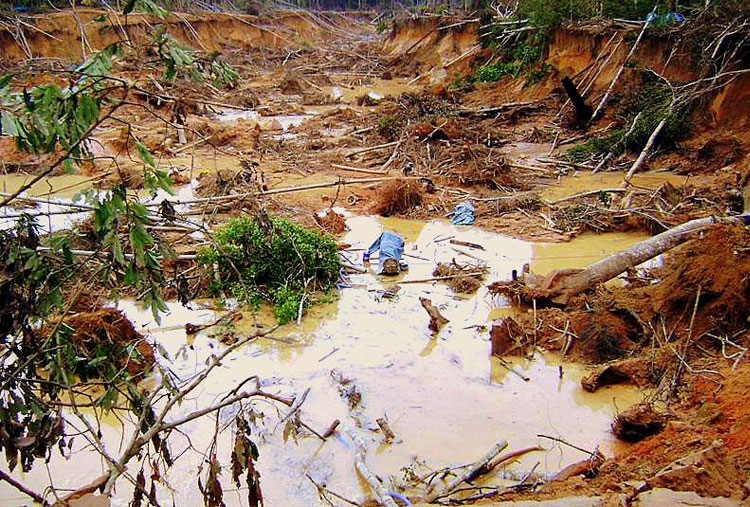 También afecta a la naturaleza