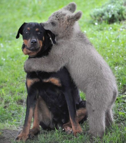 Amigos del alma