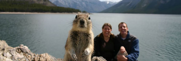 Estos animales decidieron darle un toque original a estas fotos