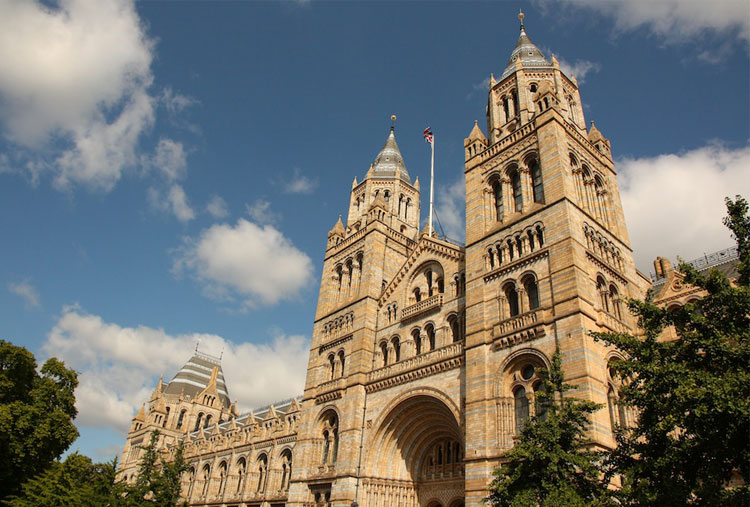 Museo de Historia Natural