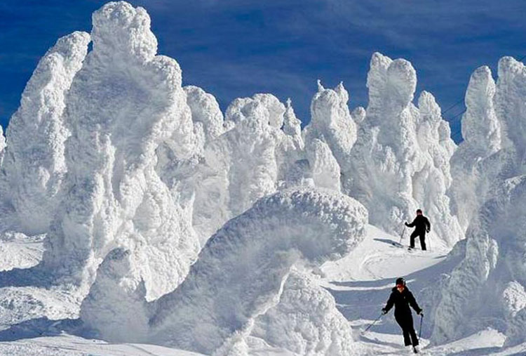 Centinelas del Ártico, Finlandia