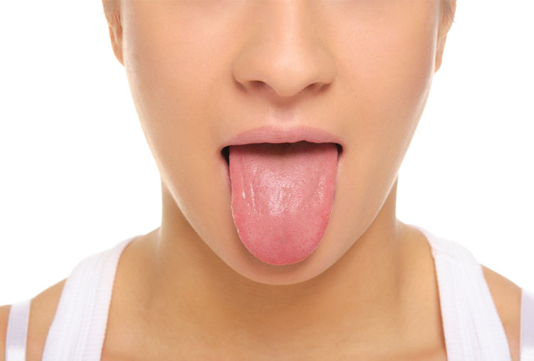 Áreas de la lengua