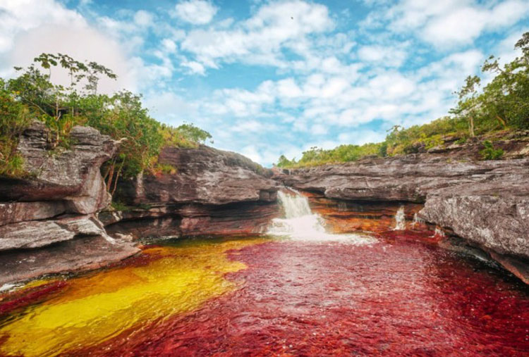 Río de los Caños