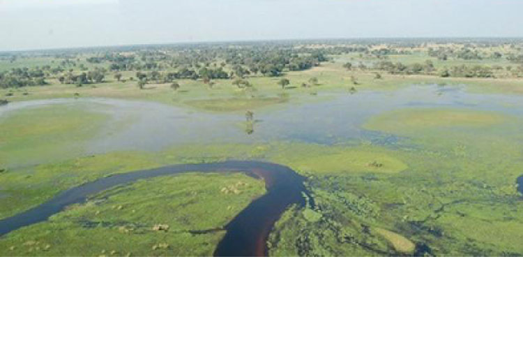 Río Okavango, Botswana