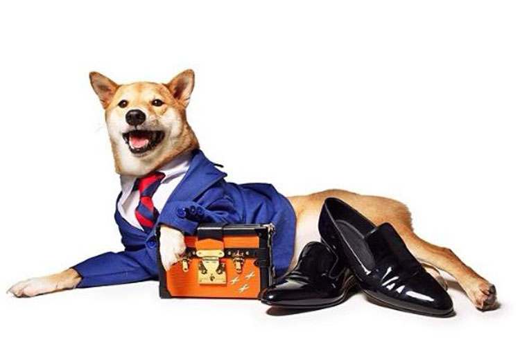 Menswear Dog (@mensweardog)