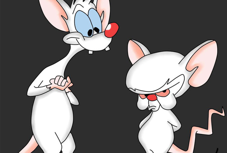 Pinky y Cerebro