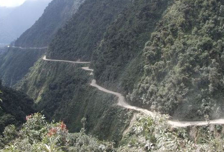 Camino de las Yungas