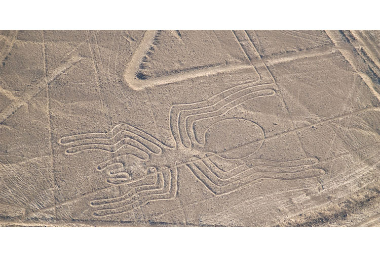 Las líneas de Nazca