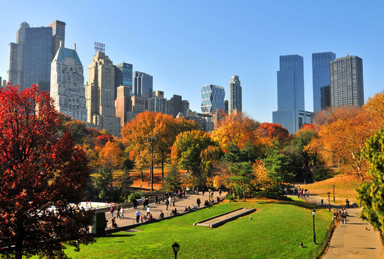 Paseos por Central Park