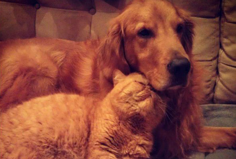 Doug y Charlie (@douglovescharlie)