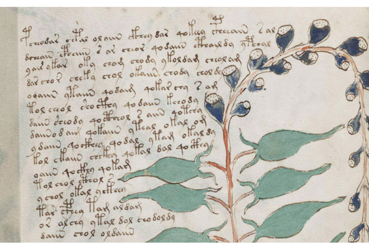 El manuscrito de Voynich