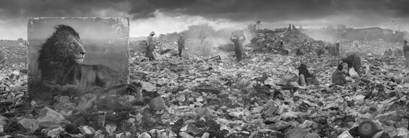 Fotógrafo retrata el proceso de destrucción del paisaje africano