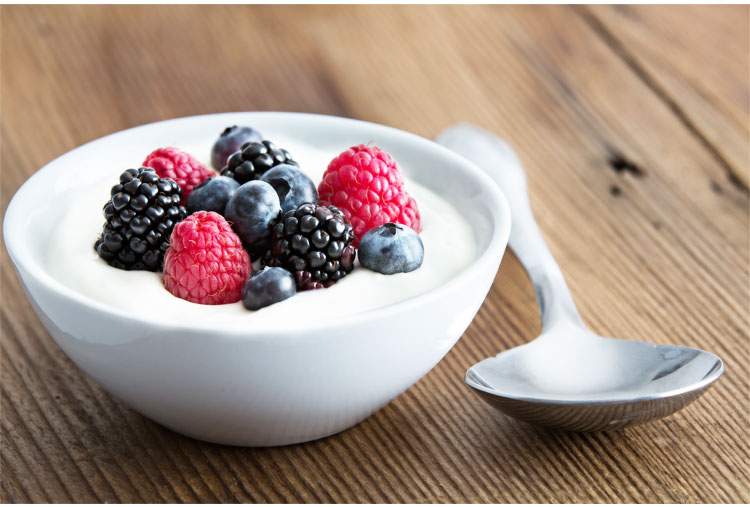 Yogurt