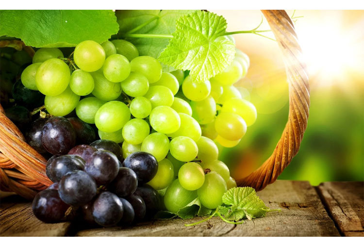 Para hacer una botella de vino, se necesita un kilo de uvas