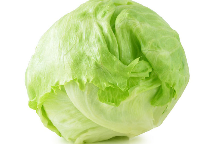 La lechuga