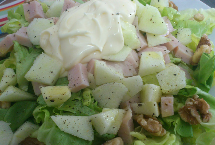 Ensalada de pavo y manzana