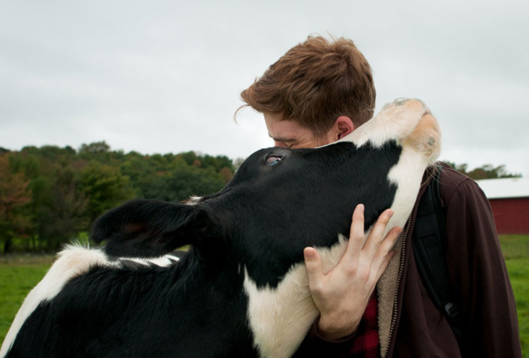 Veganismo